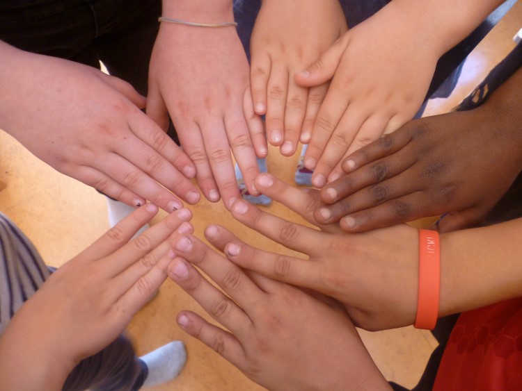 Foto: hender hender i ring